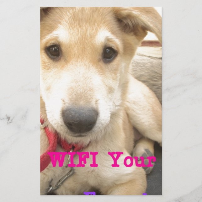 Papeterie Tu Devrais WIFI Ton Amour Tous Les Jours (Devant)