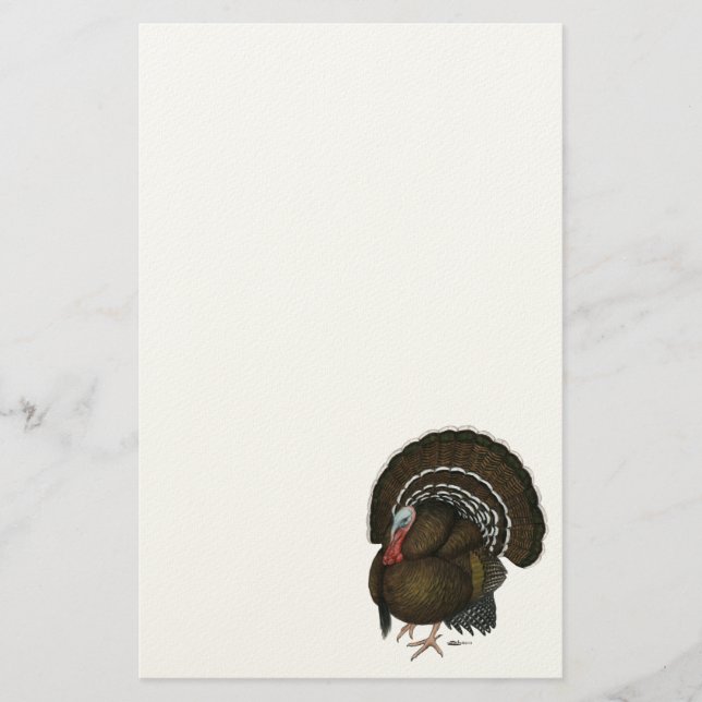 Papeterie Turquie Bronze Tom (Devant)