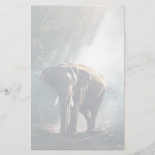 Papeterie Un éléphant asiatique dans un défrichement éclairé