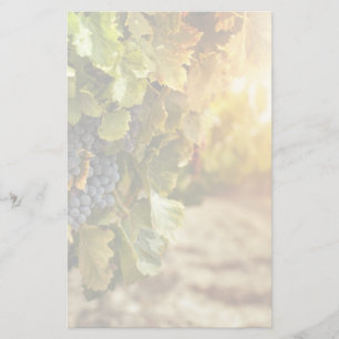 Papeterie Vignobles Au Coucher Du Soleil