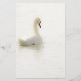 Papeterie white Swan