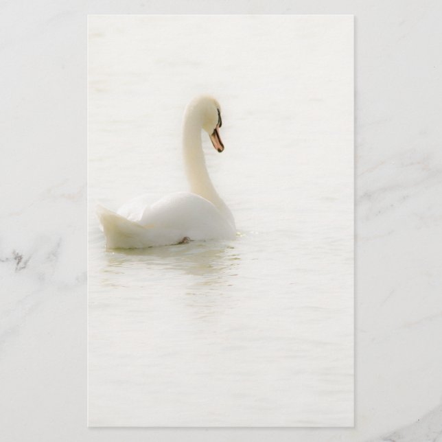 Papeterie white Swan (Devant)