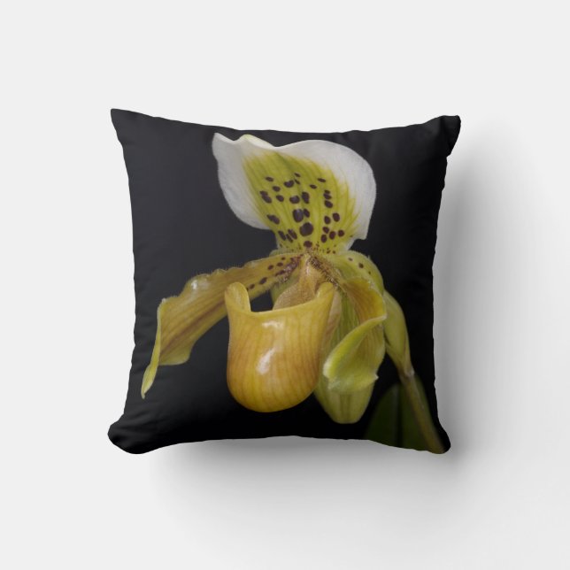 Paphiopedilum Kissen (Vorderseite)