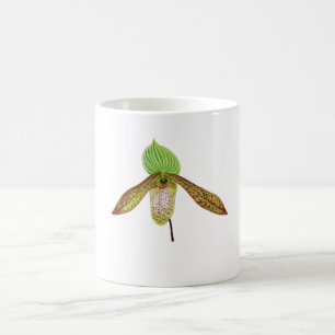 Paphiopedilum-Orchidee Botanische Aquarellmalerei Kaffeetasse