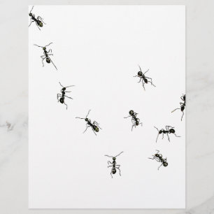 PAPIER 10
