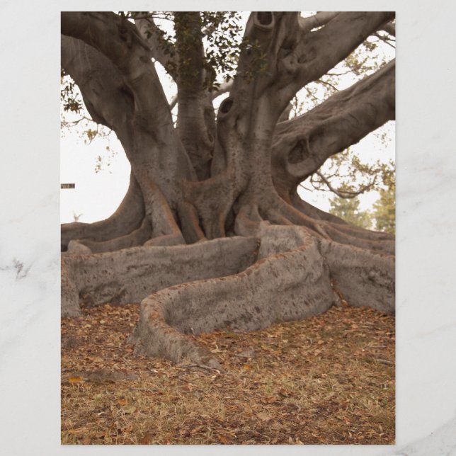 Papier 20130615_cal13_0249.jpg (Devant)