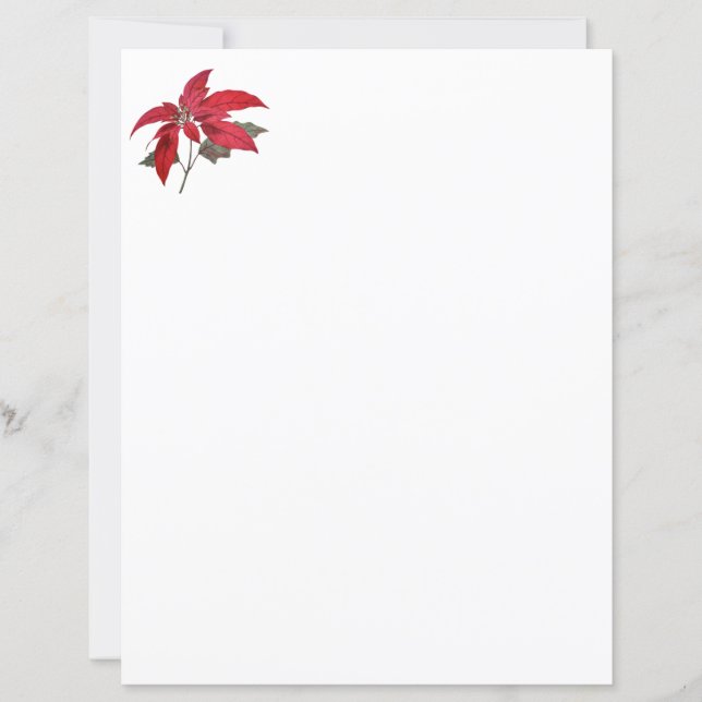 PAPIER 5 (Devant)
