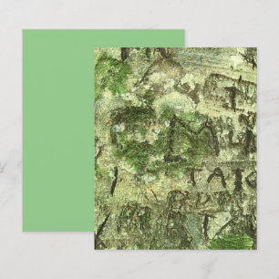Papier à écorce Brown vert sculpté Texture écorce