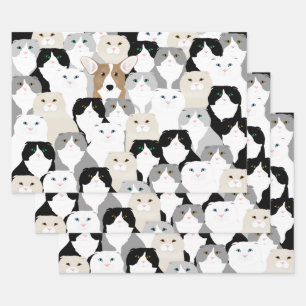 Papier à enveloppement pour chats et chiens