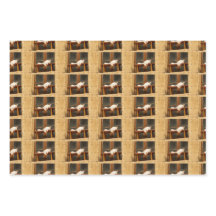 Papier à envelopper Funky Feuille plate Ensemble d
