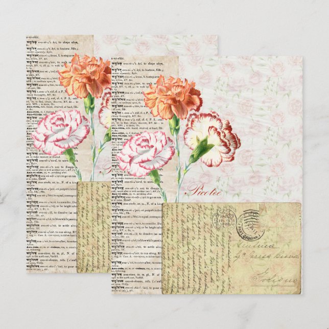 Papier à grappes à carnation assez Vintage (Devant / Derrière)