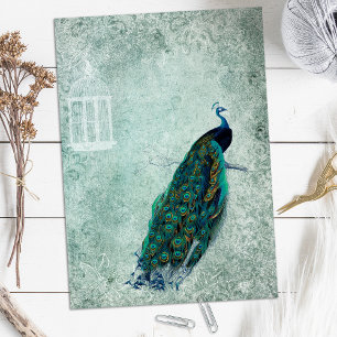 Papier à gratte-ciel Peacock