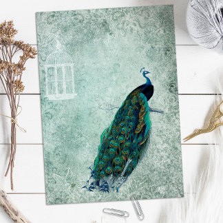 Papier à gratte-ciel Peacock