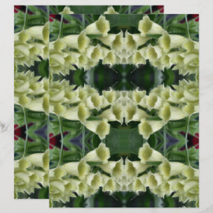 Papier à gratter Foxglove Flower Abstrait