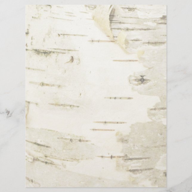 Papier à lettres, en-tête de bouleau (Devant)