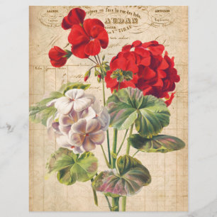Papier à rebut à collage en géranium rouge