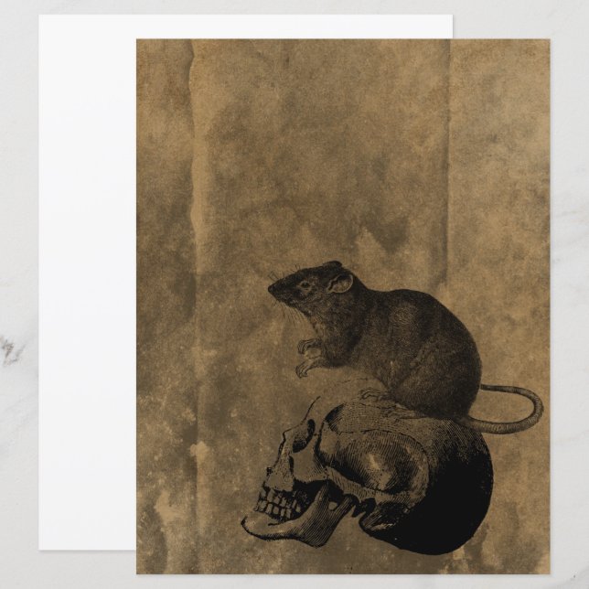 Papier à rebut gothique de la souris d'Halloween d (Devant / Derrière)