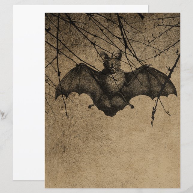 Papier à rebut gothique Halloween de Victoria (Devant / Derrière)