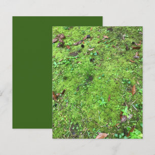 Papier à rebut Mossy Green Woodlands