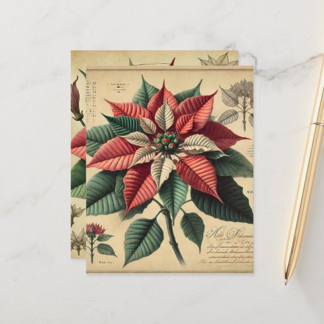 Papier à retro Poinsettia Festive Botanique (Devant/Arrière en situation)