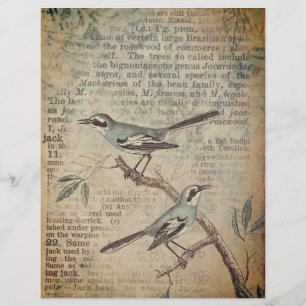 Papier à scandale Blue Birds & Dictionary