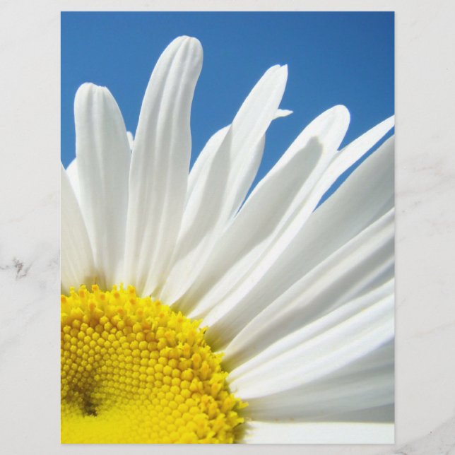 Papier à thème pour album Floral Fleurs de marguer (Devant)