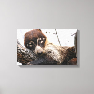 Papier à toile : Coatimundi #4