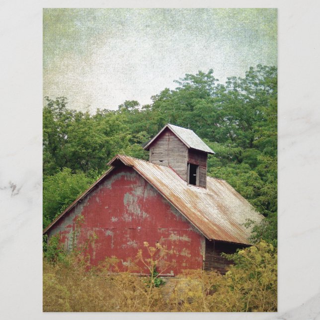 Papier Abandonné et surcultivé (Devant)