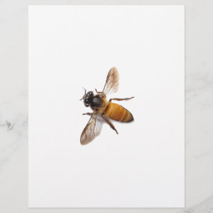Papier Abeille miel mignonne bee bumble bee