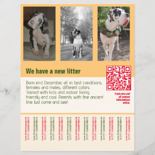 Papier Affiche de chiots à vendre avec QR code orange