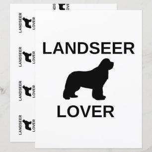 Papier album scrapbook amateur de landseer double face
