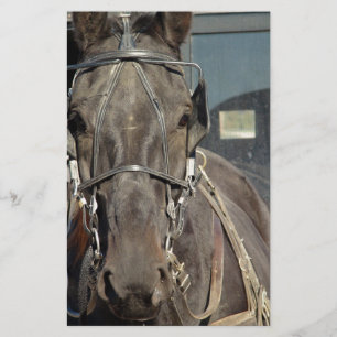 Papier Amish Buggy Horse