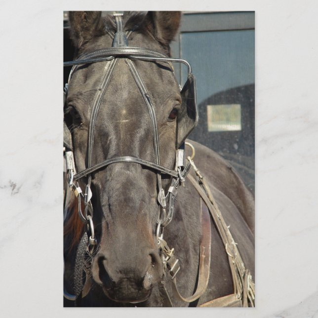 Papier Amish Buggy Horse (Devant)