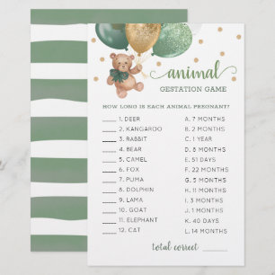 Papier Animal Gestation Jeu Sage Green Teddy Ours