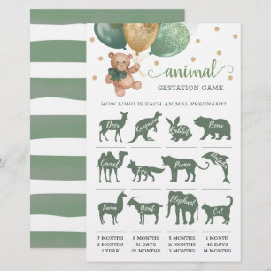 Papier Animal Gestation Jeu Sage Green Teddy Ours