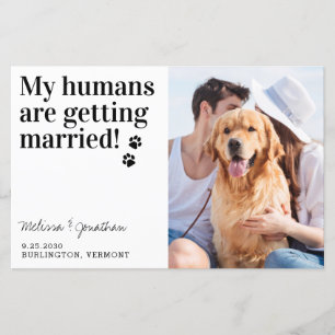 Papier Animal Photo Chien Mariage Chien Enregistrer La Da