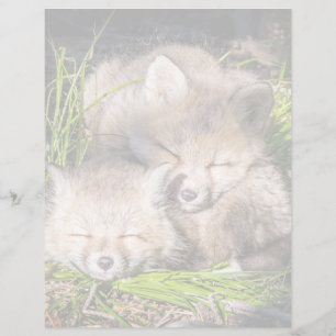 Papier Animaux de bébés cutest Baby Red Fox Kits Sleepi