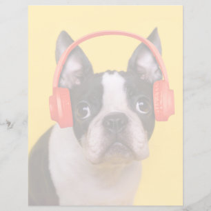 Papier Animaux de bébés cutest Casques Terrier de Bosto
