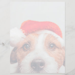 Papier Animaux de bébés cutest   Jack Russell Chien Père 