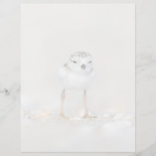 Papier Animaux de bébés cutest Poussette de tuyauterie