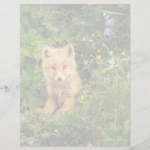 Papier Animaux de bébés cutest   Renard rouge à Umnak Ala