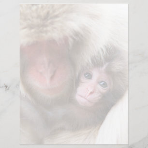 Papier Animaux de bébés cutest Singe des neiges