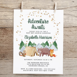 Papier Animaux des bois Aventure Baby shower Invitation