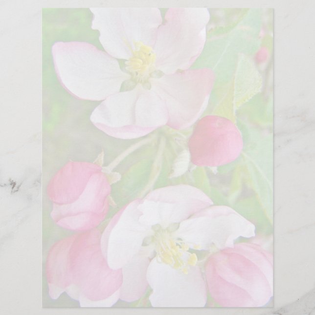 Papier Apple Blossom Time (Devant)