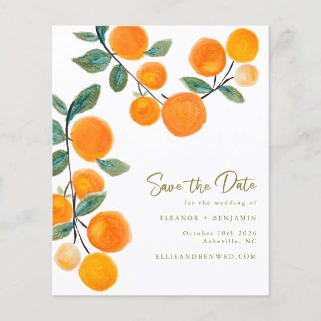 Papier Aquarelle Budget Fruit Orange Enregistrer La Date (Devant)