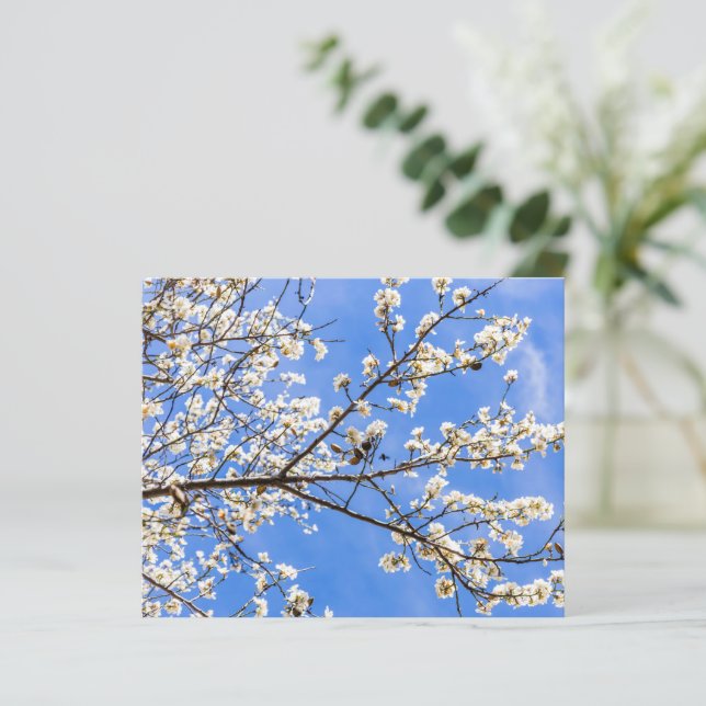 Papier Aquarelle de la branche de floraison Imprimer - Ar (Debout devant)