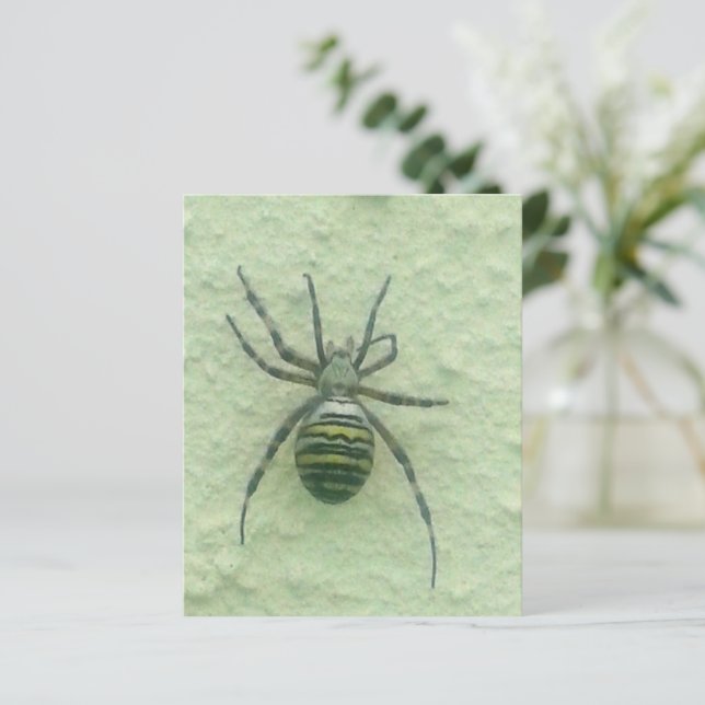 Papier Araignee spider (Debout devant)
