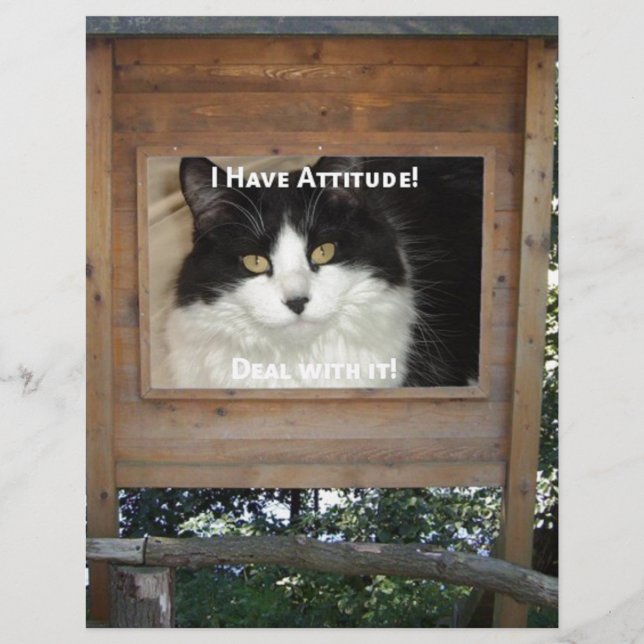 Papier Attitude du chat (Devant)