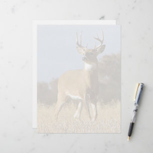Papier Automne Whitetail Buck