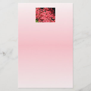 Papier Azalées. Jolies Fleurs Roses.